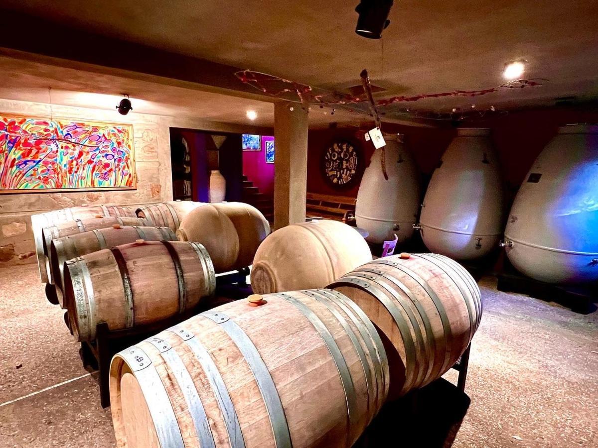Araoz De Lamadrid Hotel&Bodega San Javier  Kültér fotó