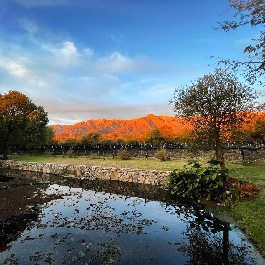 Araoz De Lamadrid Hotel&Bodega San Javier  Kültér fotó