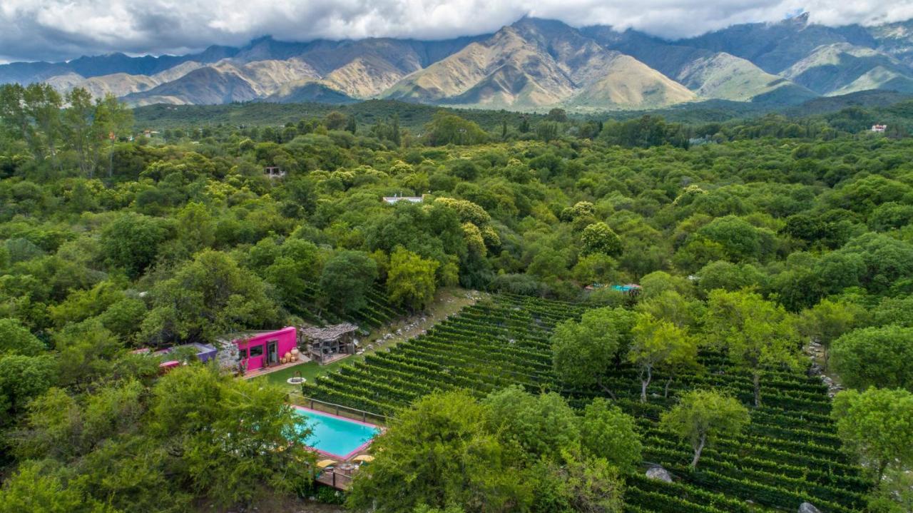 Araoz De Lamadrid Hotel&Bodega San Javier  Kültér fotó